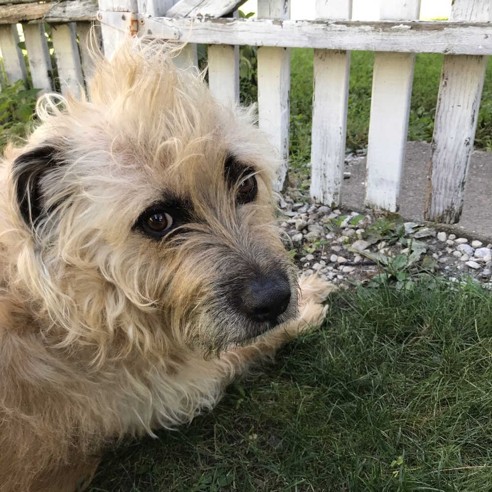 Meet your Posher, Lisa